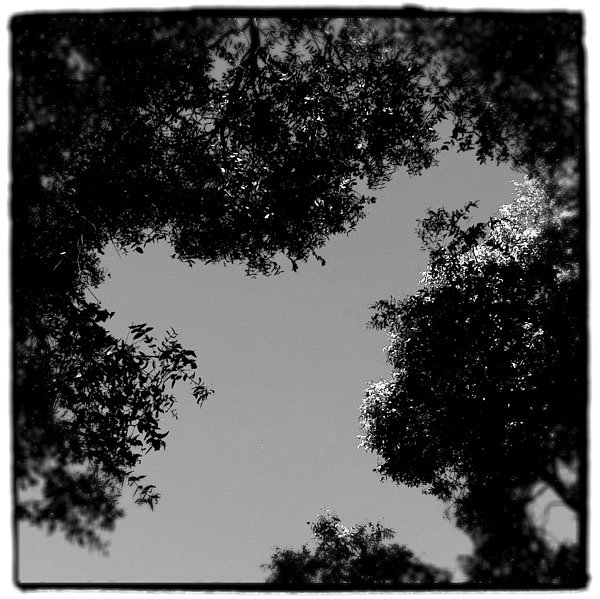 Looking up