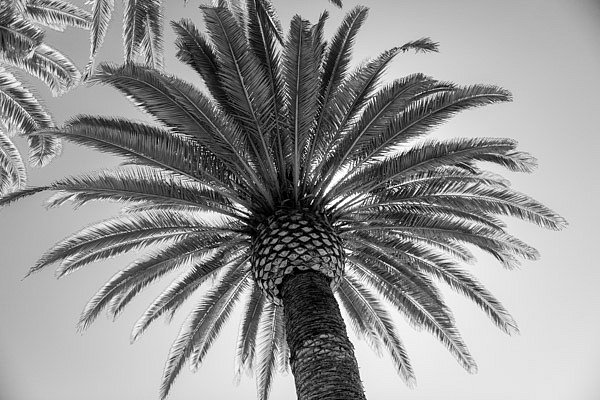 2013-09-07-11-18-30.jpg