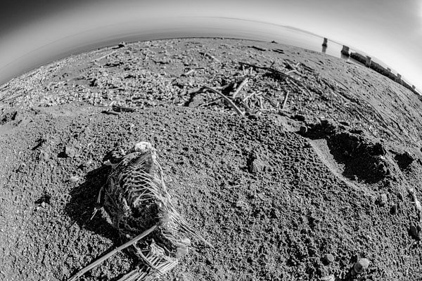 2013-09-14-16-51-54.jpg