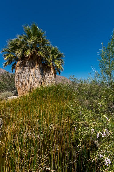 2013-09-15-11-25-06.jpg