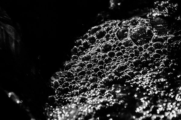 Bubbles